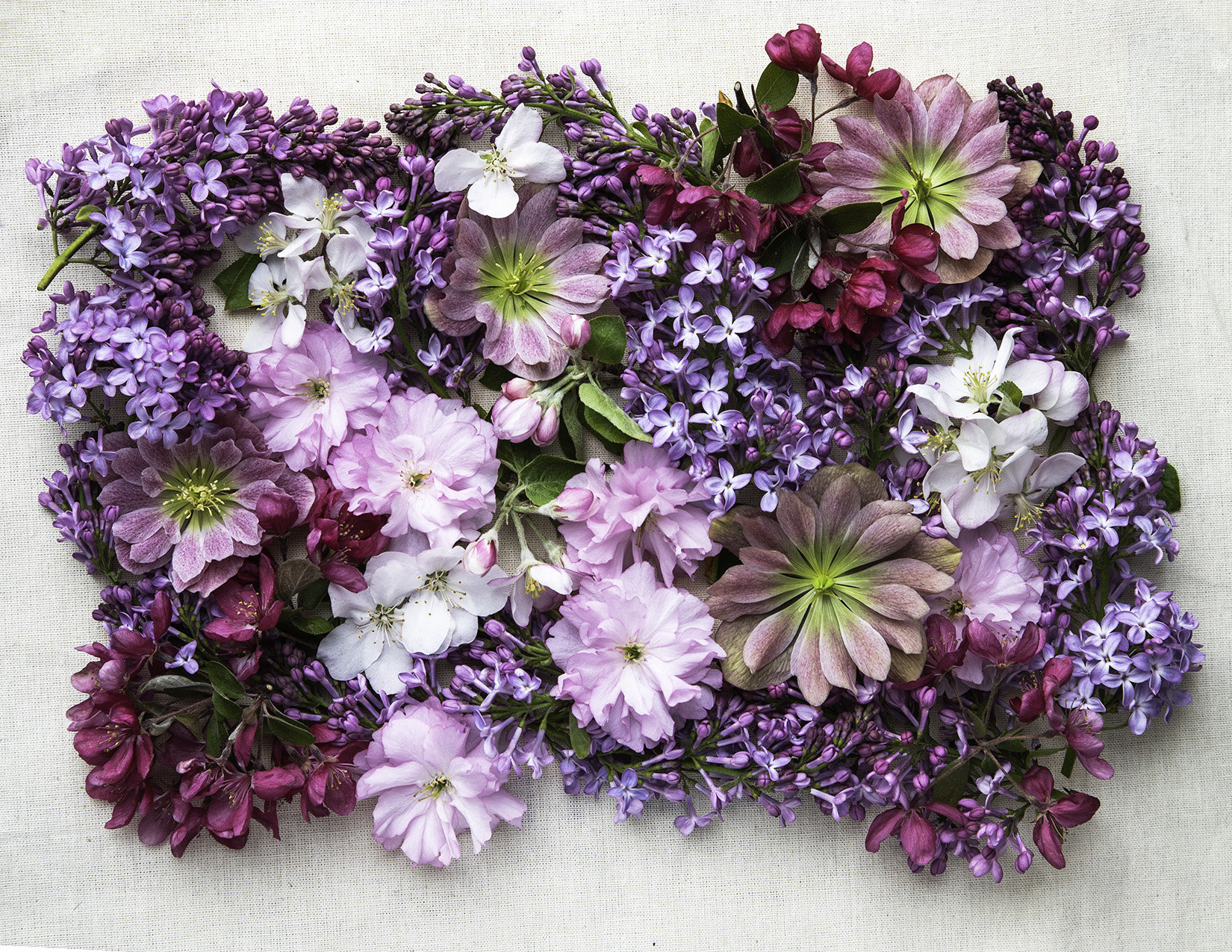 Floral Collage
