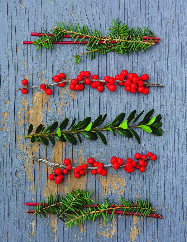 Winter Greens - Portrait