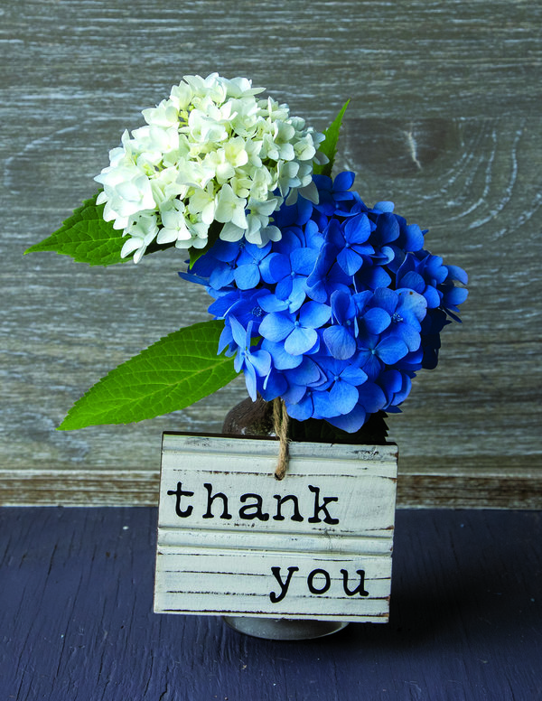 Thank you - Hydrangea Blue