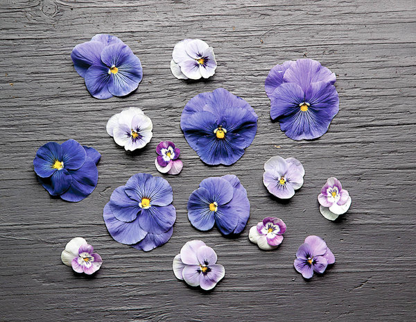 Pansies