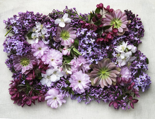  Floral Collage
